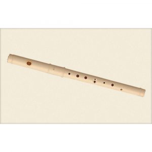 Flauta Pifano Aulos C-21 Travesera 2 Piezas