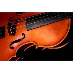 Juego Cuerdas Violín "Popular" G-105/4/4