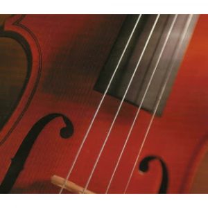 Juego Cuerdas Violín "Popular" V-105/1/2