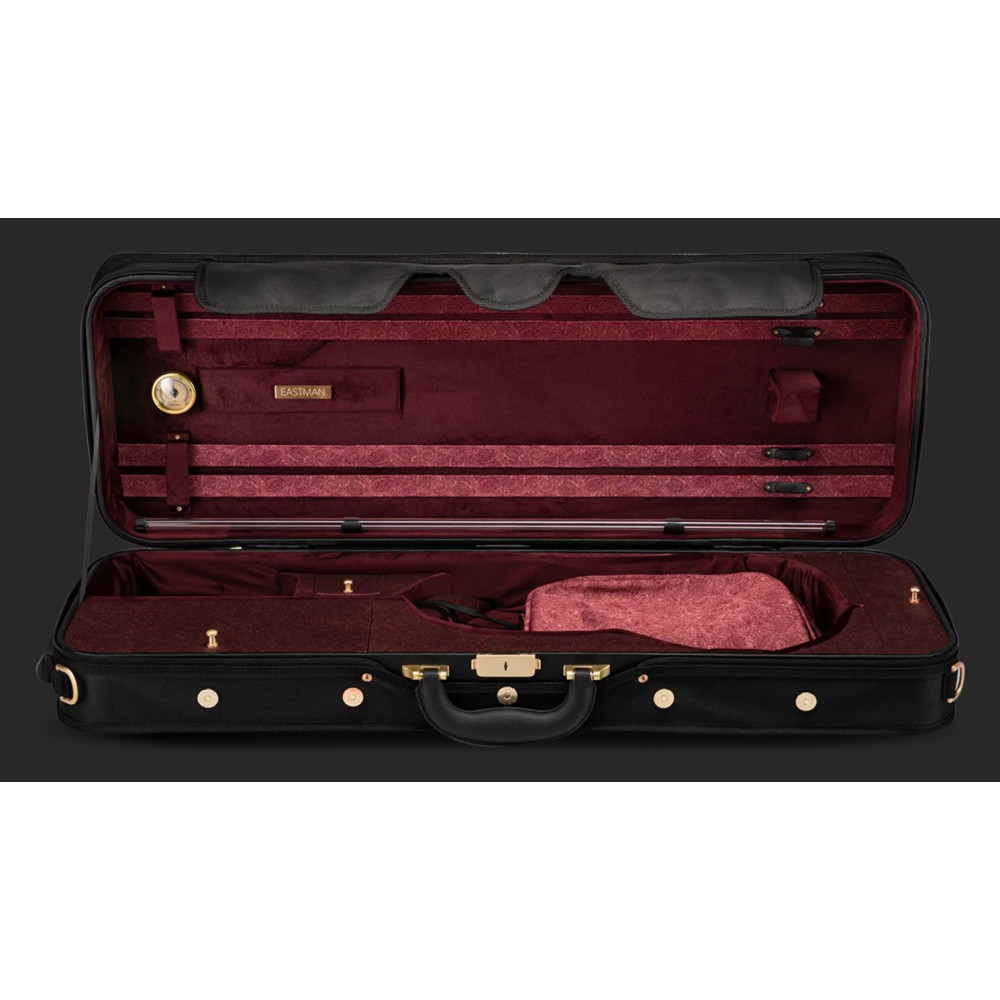 Violín Andreas Eastman VL605-SBC 4/4 Stradivari Completo - Imagen 3