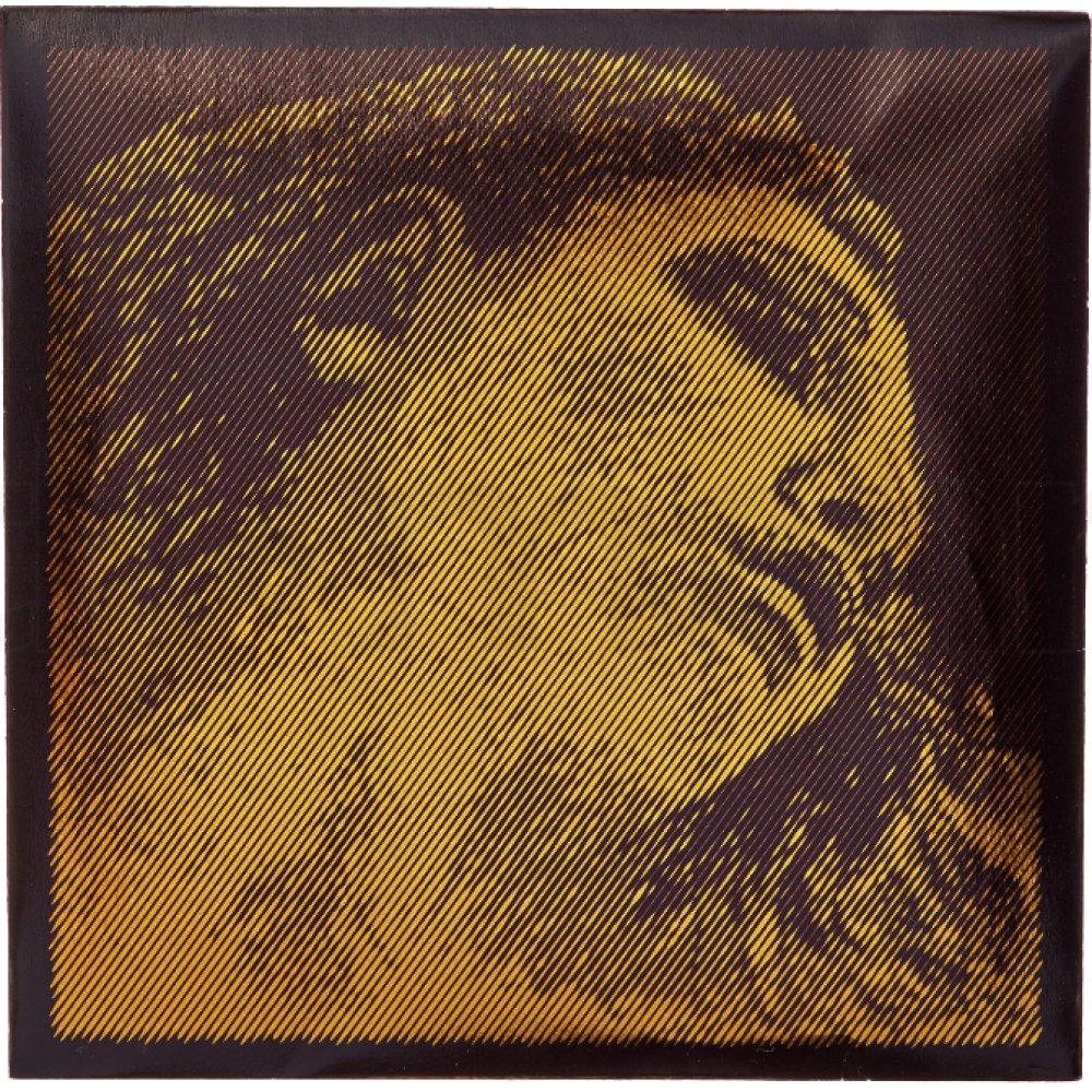 Cuerda 3ª Pirastro Viola Evah Pirazzi Gold 323321 Nucleo Acero Cromo