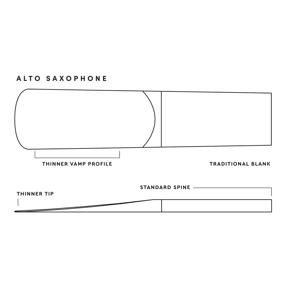 Caja 10 Cañas Saxo Alto Royal by D'Addario 4 - Imagen 4