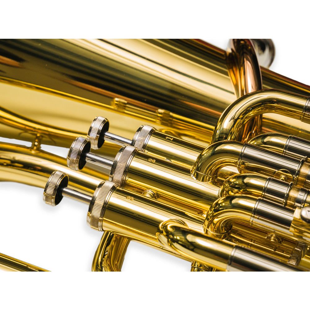 Bombardino Taylor Collins TCEU-193 Compensado Lacado 3+1 Sib - Imagen 2