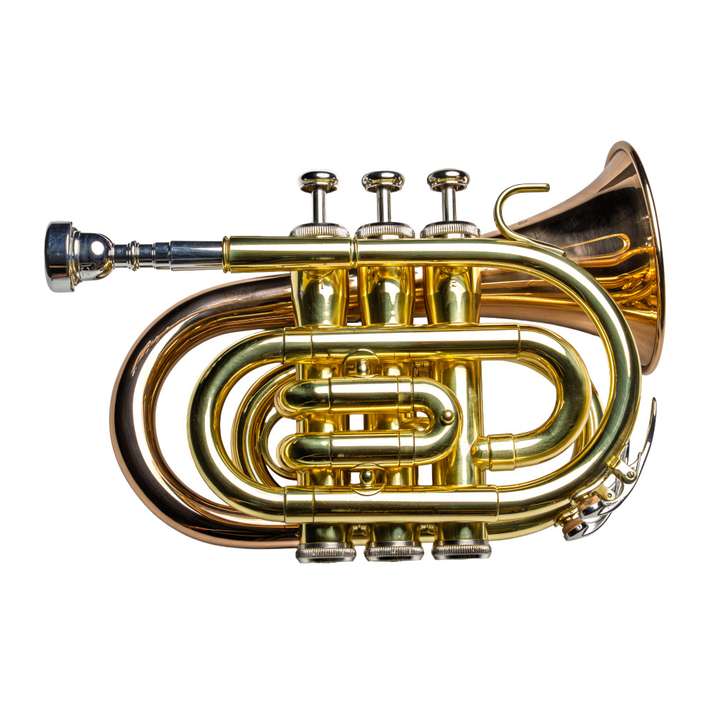 Trompeta Pocket Taylor Collins TCPTR-36 Lacada/Oro rosa