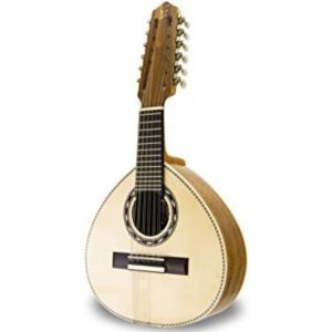 Bandurria APC BAND-308