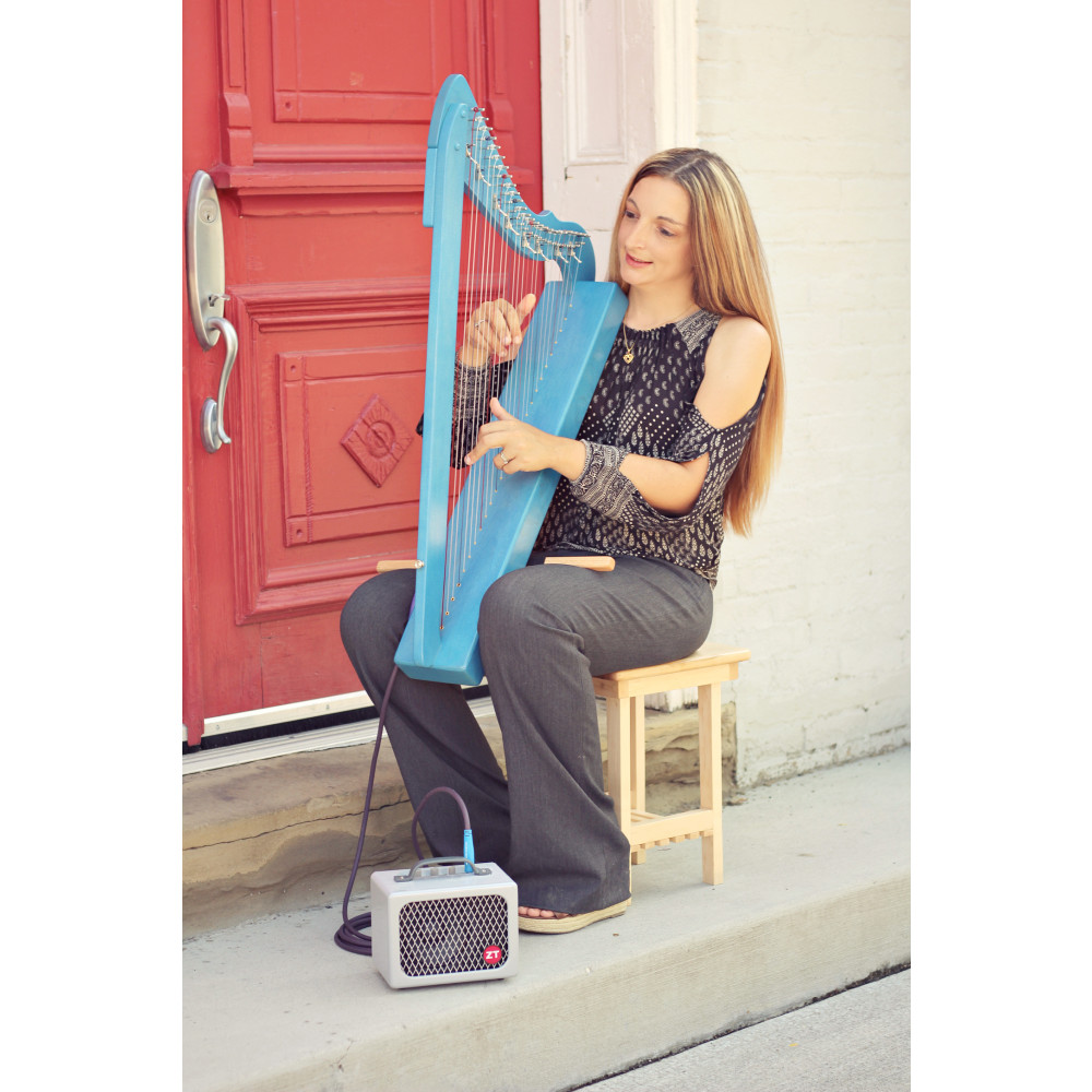 Sitck para Arpa Harpsicle 8000 - Imagen 3